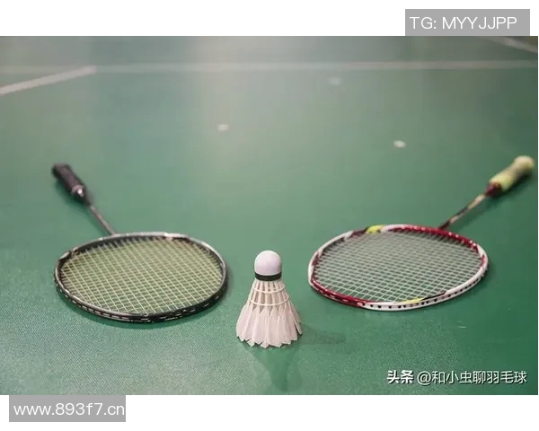 羽毛球新手必看：从零基础到比赛高手的全面攻略与实用技巧分享